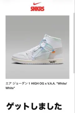 V.A.A. Air Jordan 1 Retro High OG 28.5cm