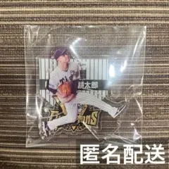 ごまねこ様 リクエスト 4点 まとめ商品