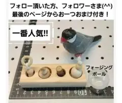 D07 【知育】miniフォージングトイ-D インコ おもちゃ バードトイ