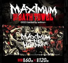 2026年最新】マキシマムザホルモンタオルの人気アイテム - メルカリ