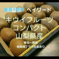 2キウイフルーツ　農薬不使用　わけあり　コンパクト　山梨県産