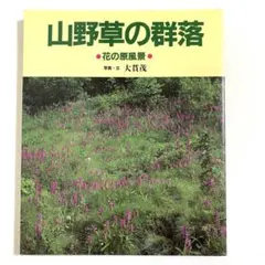 Item thumbnail for item e3bd5f9a-b8ea-4c56-8a65-fc297a4310f8