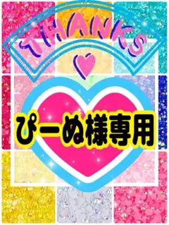 ぴーぬ様専用╰(*´︶`*)╯♡