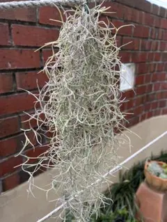 uzutan様 リクエスト 2点 まとめ商品