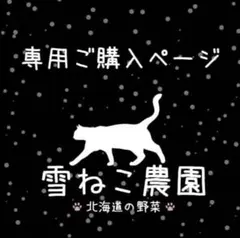 aki@ゆるっと復活様 リクエスト 2点 まとめ商品