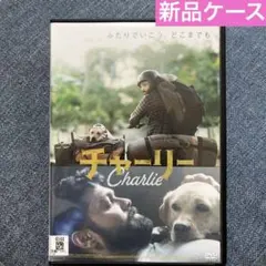 ⭐︎ チャーリー Charlie DVD レンタル落ち　インド映画