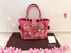 削除あり　レア　美品　coach バタフライ　蝶々　ハンドバッグ