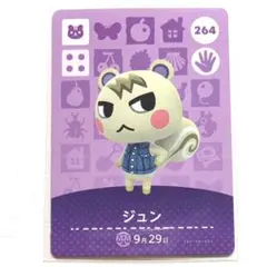 ね*ま様 amiiboカード　ジュン