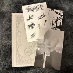 ALD1アルバム アンシンポストカード付き FragileBeast ver