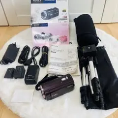 2026年最新】HDR-CX270の人気アイテム - メルカリ