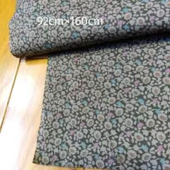 Item thumbnail for item 8c52f0bf-151e-4259-b7b4-9913c3d3ef28