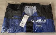 Item thumbnail for item e5ce0e78-b5ba-400f-aeaf-8adbe655bcf4