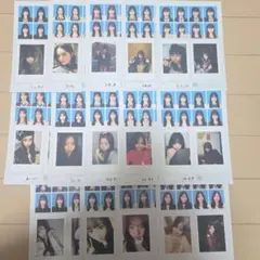 seju 証明写真風 バラ売り フォトカード セットこぞのいねねだけ売れて