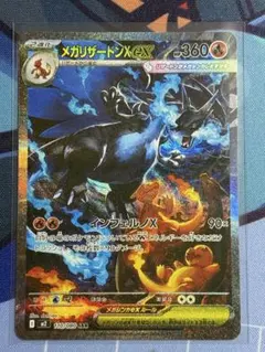 千*犬様 インフェルノX メガリザードンX ex
