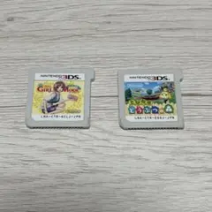 3DSソフト わがままファッションガールズモード&とびだせどうぶつの森