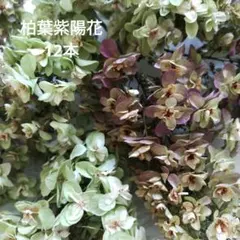 Item thumbnail for item 775760b7-72db-4746-a11a-0c5e98fd3a9d