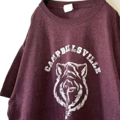 ポート&カンパニー CAMPBELLSVILLE Tシャツ L レッド赤 古着