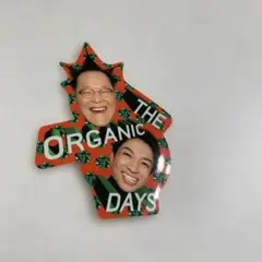 アインシュタイン ステッカー コスメキッチン