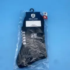 Item thumbnail for item 3bbc12d7-a2e2-4a05-861d-0447d3ab574a