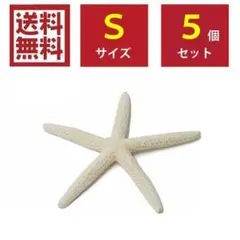 スターフィッシュ Sサイズ 5個セット ホワイト マリンE 海 夏 ヒトデのサムネイル