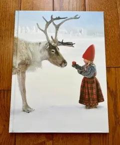 洋書絵本　The Christmas Wish