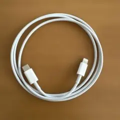 【1m】Lightning to USB-Cケーブル ホワイト　iPhone