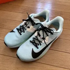 Nike FV6040-400 ランニングシューズ US8
