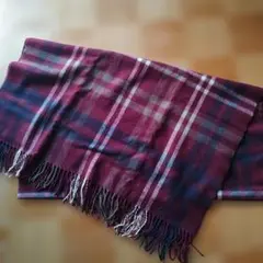 Item thumbnail for item 4640e656-f8cb-4958-8f16-edaa6c6baa2e