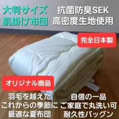 掛け布団 ジュニア 2枚合わせ ダクロン フレッシュ オールシーズン