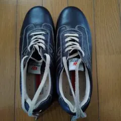 Item thumbnail for item 699ee1ec-6040-46d8-8b23-91e582dc967e