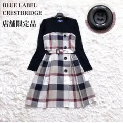 入手困難✨店舗限定モデル♡ブルーレーベル　Aライン　ワンピース　ロゴボタン