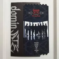 straykids dominATEツアー アプグレ特典 チケットカード