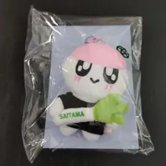 【未開封】SEVENTEEN HOLIDAY ボンボンイ 埼玉
