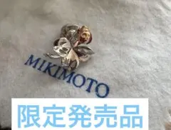 Item thumbnail for item ced7fd53-c7e1-493e-ad0c-51db3d6aaa8e