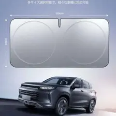 Item thumbnail for item 40252fab-fa94-4af4-a84b-73ab0444203b