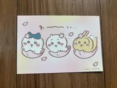 【美品】ちいかわ ちいかわらんど ノベルティ ポストカード 桜 さくら