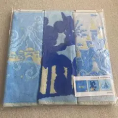 ディズニーバケーションパッケージオリジナルグッズ　ハンドタオルセット