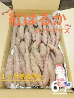 *特価*紅はるか さつまいも 小さいサイズ 6kg♪