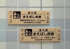 R*r様 道の駅　記念きっぷ　新潟、富山、石川　非売品３０種 R*r様 道の駅 記念きっぷ 新潟、富山、石川 非売品30種 道の駅