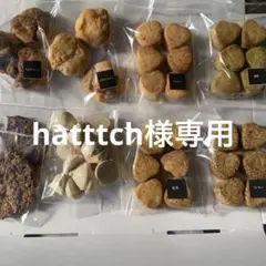 hatttch様専用同梱割クッキーセットtGH