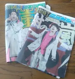 WANDS 会報誌vol.10 2025夏号 FC会員限定 上原大史 柴崎浩 - メルカリ