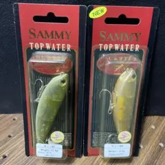 Item thumbnail for item 39ec24c0-e24e-4ae3-9f79-1065d8bfd770