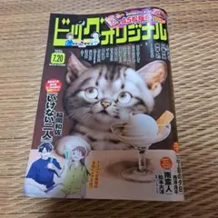 ビッグコミックオリジナル2008年24号『Dr.コトー診療所』新連載/山田