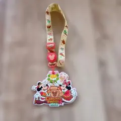 ミッキー ミニー クリスマスファンタジー2004 パスケース