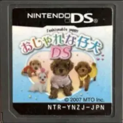 おしゃれな仔犬