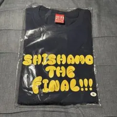 西武ライオンズ [ミズノ]オーセンティックロゴTシャツ Mサイズ - メルカリ