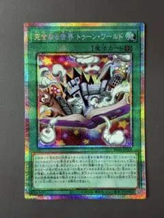 完全なる世界トゥーンワールド プリシク 完全なる世界トゥーンワールド プリシク | Mercari
