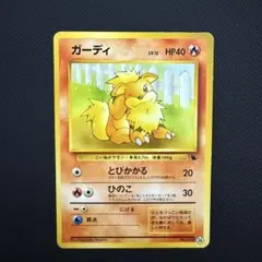 ガーディ イントロパック