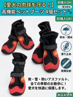 Item thumbnail for item 7f1ecfae-71b2-4627-8680-6b5b5d788270