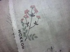 生地 シーチング